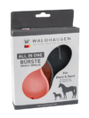 "All-in-one" Brush