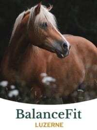 Metazoa Balancefit 15 kg Fitright)