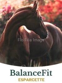 BalanceFit Esparcette