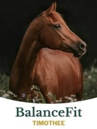 Metazoa Balancefit Timothy 15 kg (FitRight)