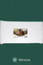 Metazoa NaturalFit Alfalfa 15 kg