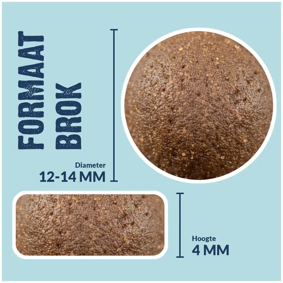 3-Mix Adult Basic Cat - Image 2