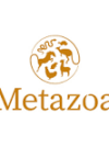 Metazoa Balancefit Esparcette (Fitright-Sainfoin) 15 KG - Image 2