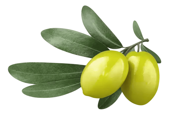 Paw cream 100 ml - Image 3