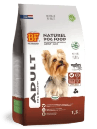 Volwassene - Mini Hond