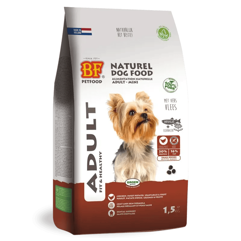 Adult - Mini Dog