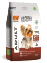 Adult - Mini Dog