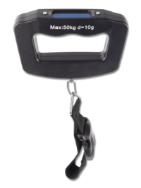 Balance numérique à main