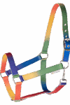Rainbow Halter