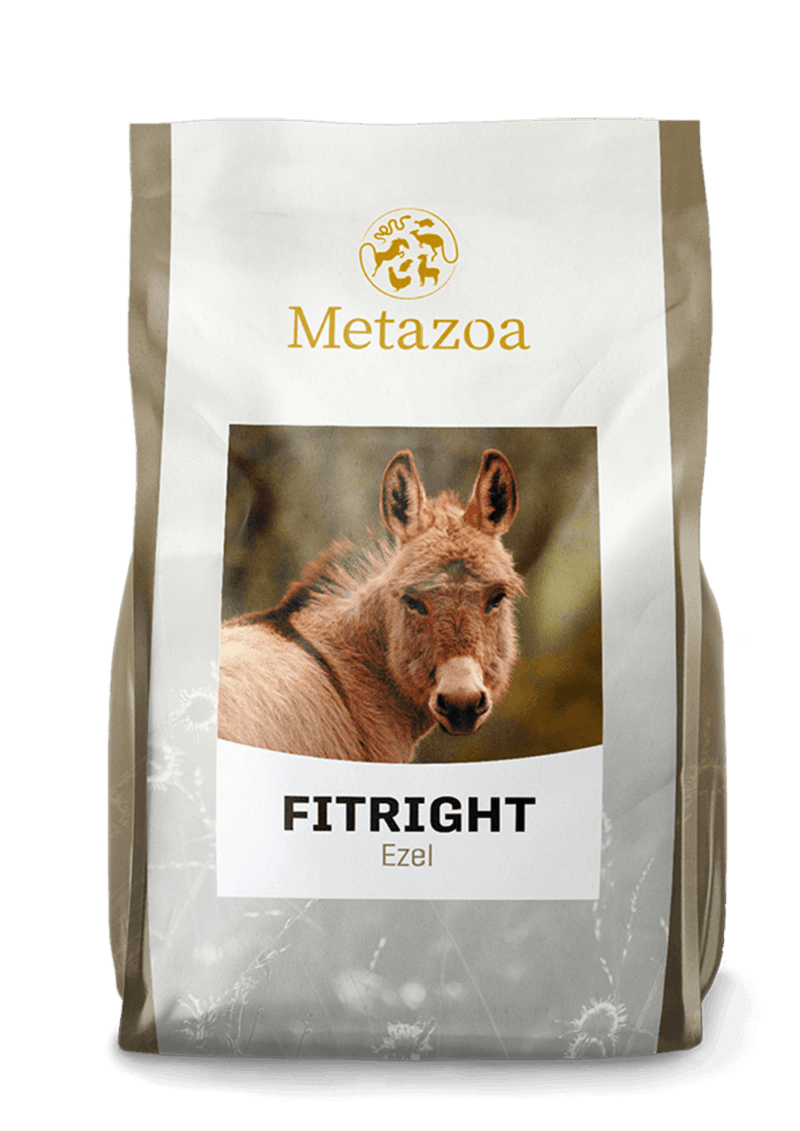 Fitright Donkey