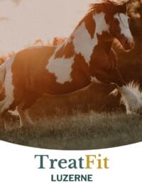 Metazoa Treatfits 4kg