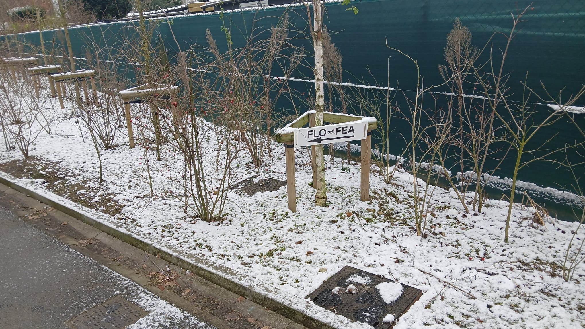 Collect at Flo Féa Warehouse