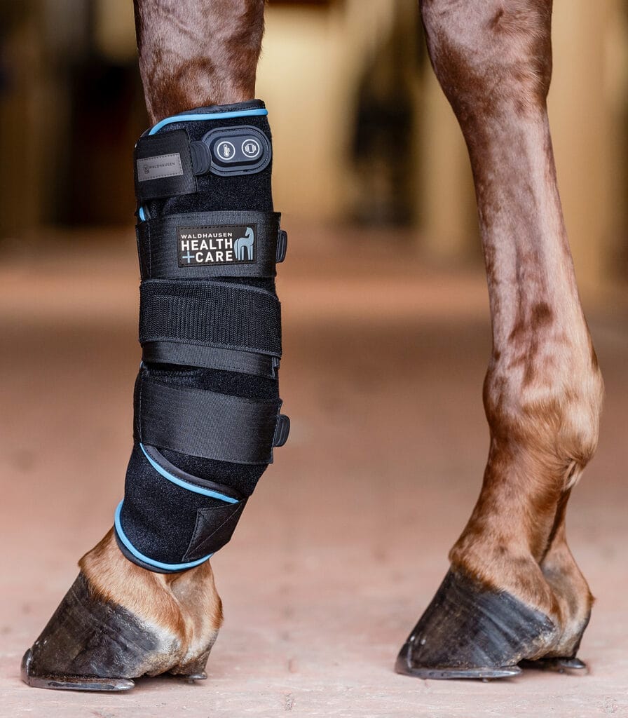 Waldhausen Health + Care tendon boots