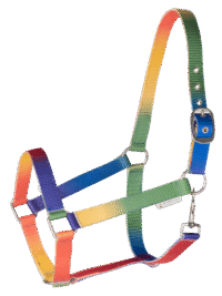 Halter aux couleurs de l'arc-en-ciel