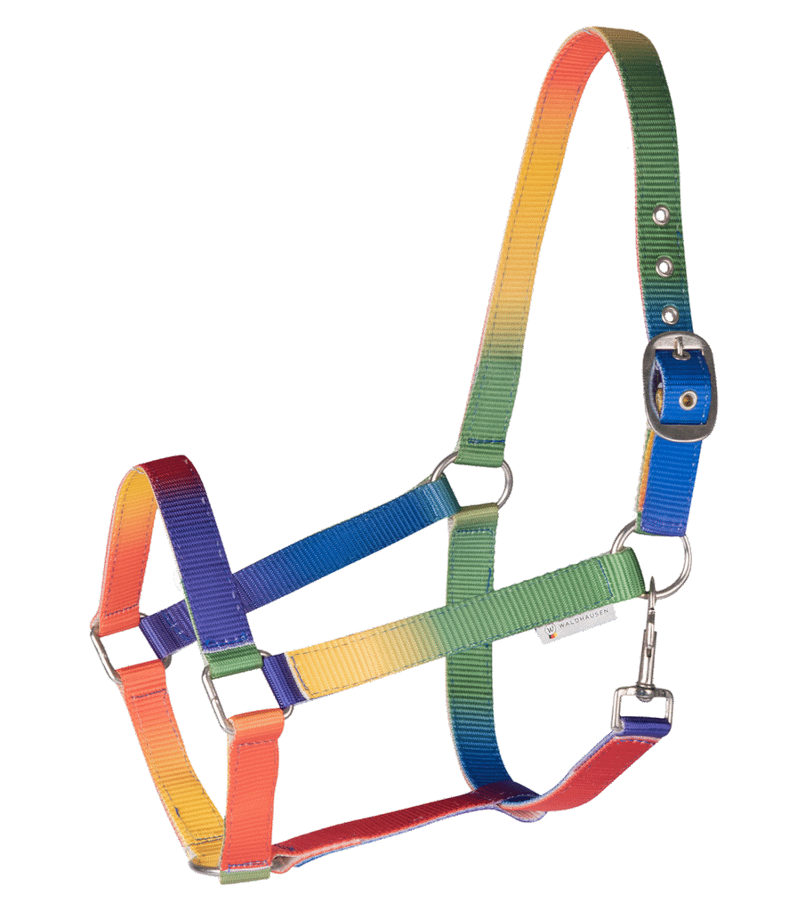 Regenboogkleurige halster