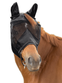 PREMIUM 3-in-1 Fly mask