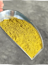Sea Buckthorn powder