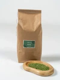 Moringa Olifeira