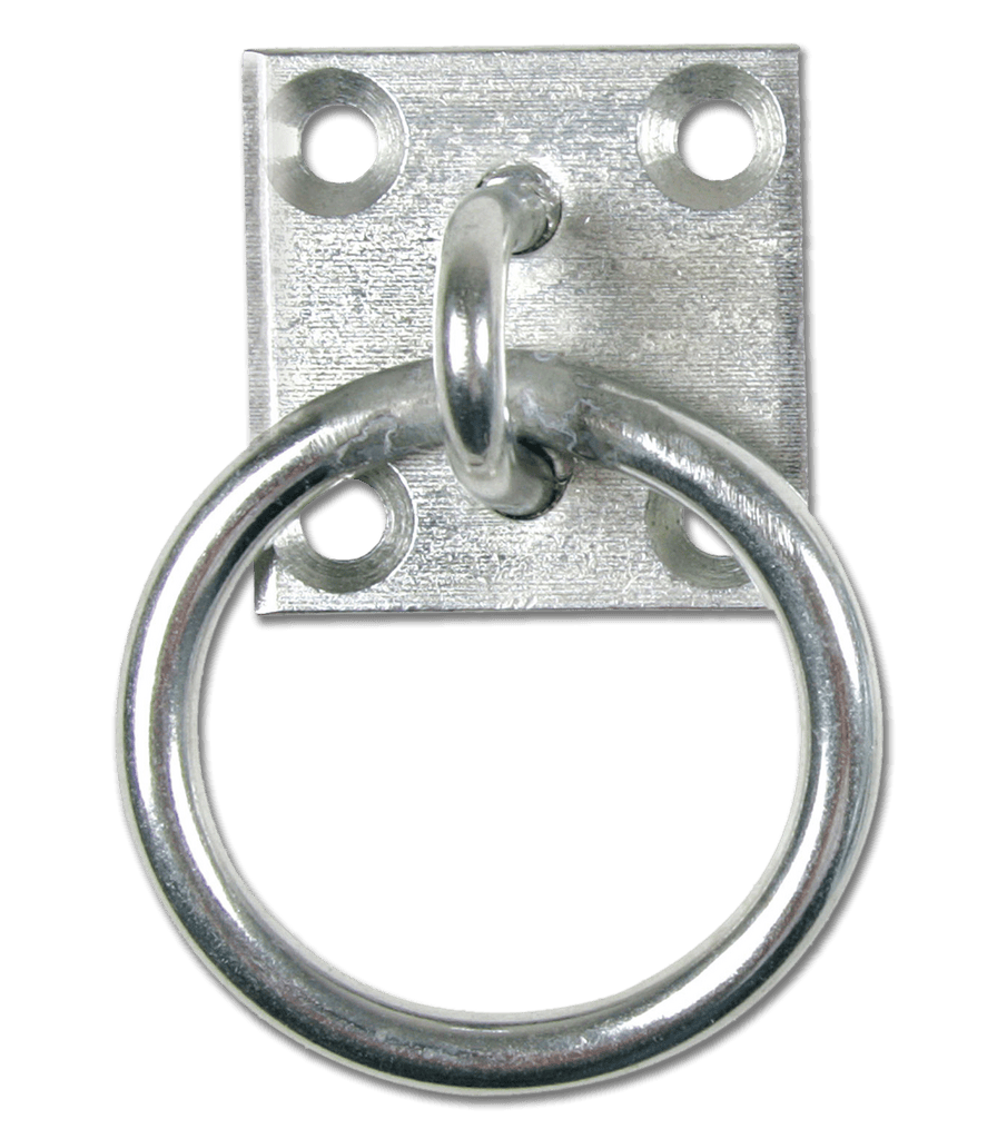Tie Ring on Wall Plate