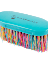Rainbow Body Brush