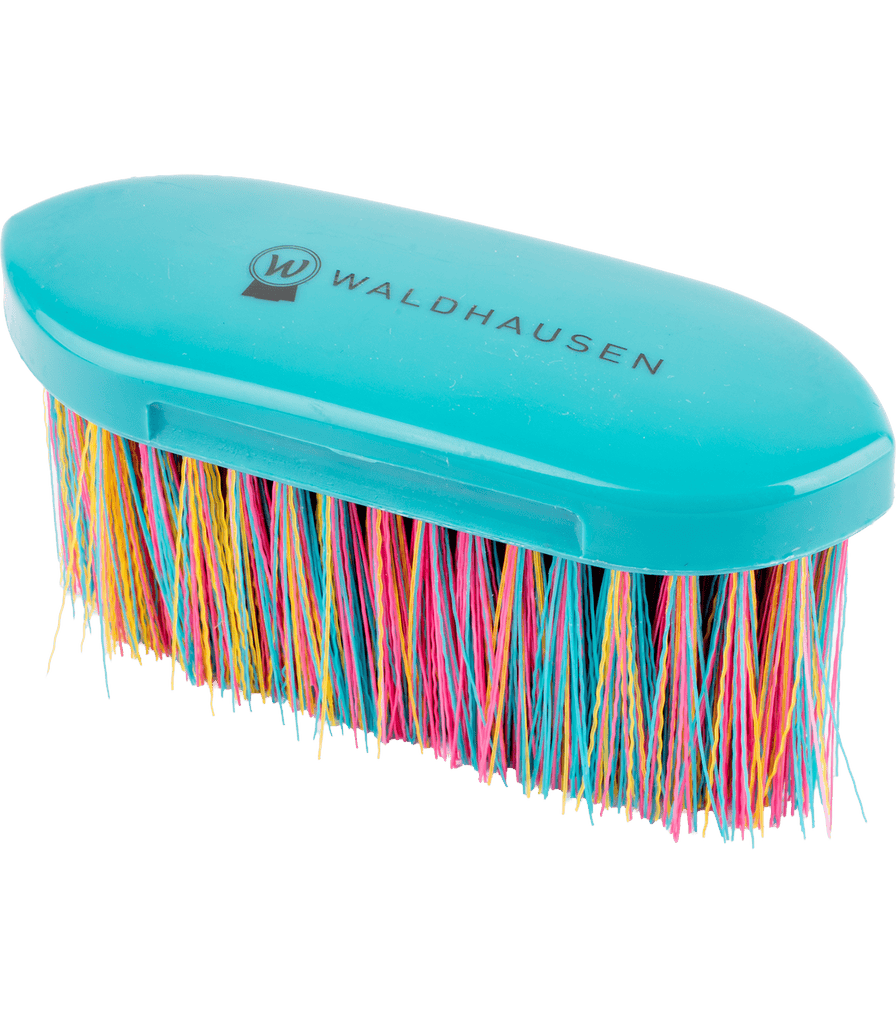 Rainbow Body Brush