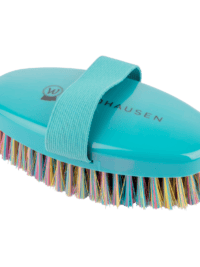 Brosse de toilettage Rainbow