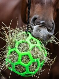 Hay Ball - Green
