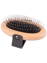 Exclusieve lijn manenbor Borstel