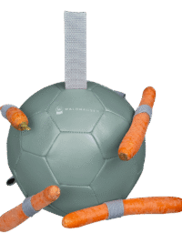 Carrot Ball Mistletoe