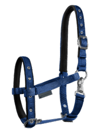 Halter Comfort for Foals