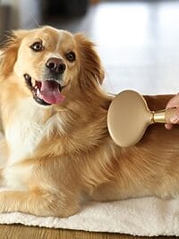 MagicBrush Soft Slicker Brush