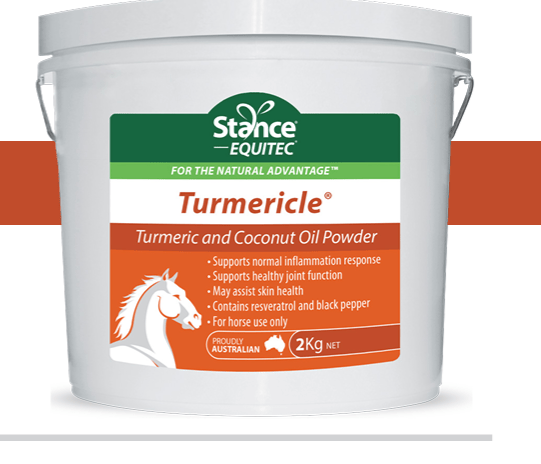 Turmericle® 2KG
