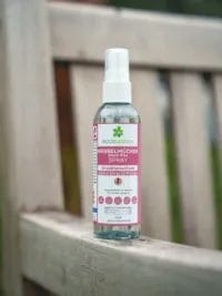 ECOBUSTERS Black Flies Spray 100ml