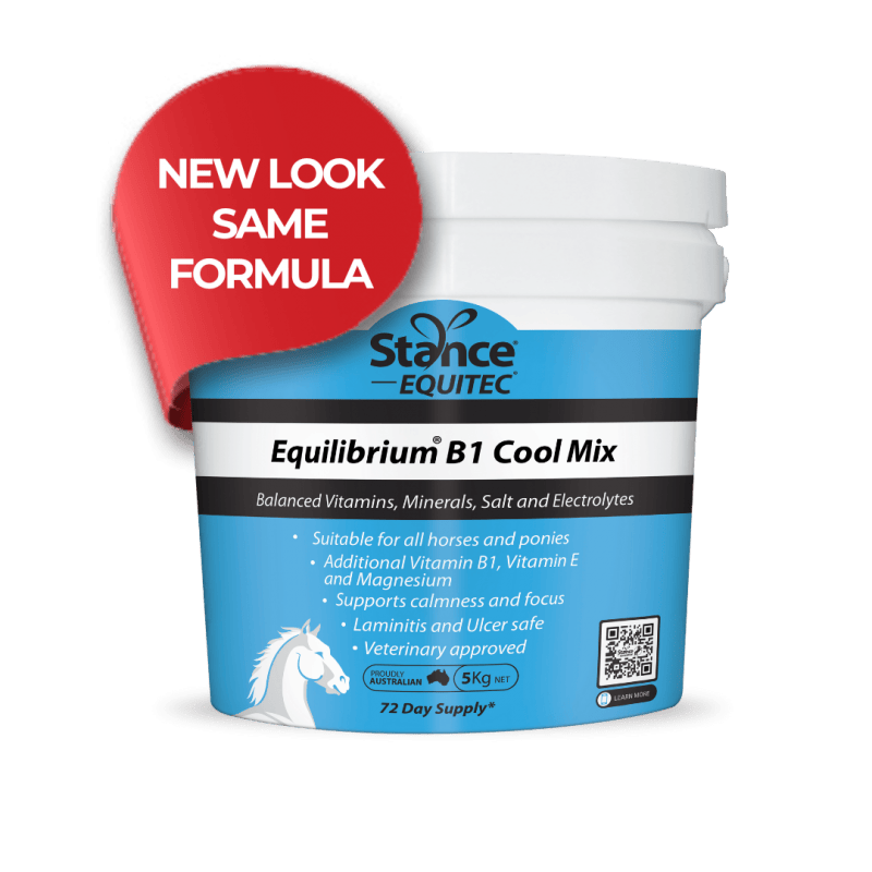 Equilibrium® B1 Cool Mix