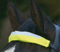 Reflective Straps