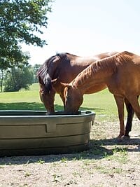 Water Trough Extra